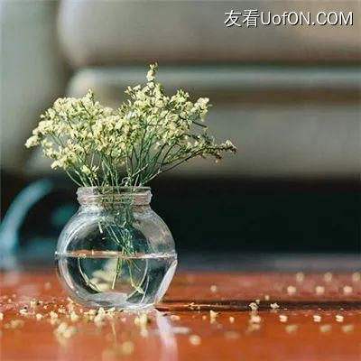 碧雪情天3d手游九游版下载