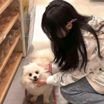 鬼狐正传最新版下载